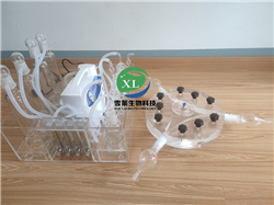 Y形昆蟲嗅覺(jué)儀XLM3-30-300\XLM3-30-150
